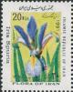 Colnect-2116-886-Iris-spuria.jpg