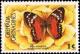 Colnect-2236-506-Red-anartia.jpg