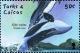 Colnect-5767-966-Orcinus-orca.jpg