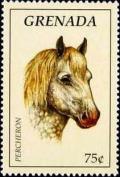 Colnect-4569-570-Percheron.jpg