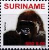 Colnect-4044-272-Gorilla-sp.jpg