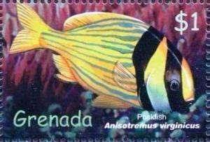 Colnect-4611-725-Porkfish.jpg