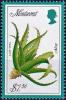 Colnect-4477-372-Aloe-vera.jpg