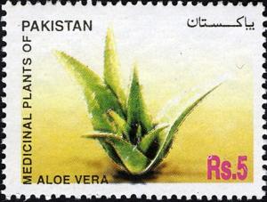 Colnect-475-773-Aloe-Vera.jpg