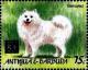 Colnect-4112-736-Samoyed.jpg