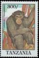 Colnect-4729-573-Chimpanzee.jpg