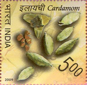 Colnect-545-374-Cardamom.jpg