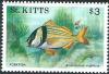 Colnect-2533-750-Porkfish.jpg