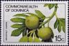 Colnect-4766-975-Breadfruit.jpg