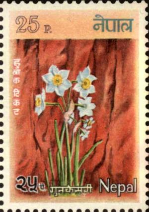 Colnect-4972-375-Narcissus.jpg