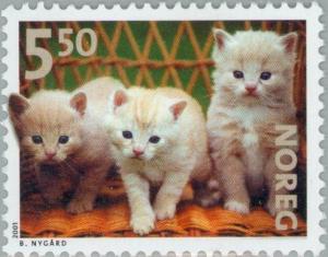 Colnect-162-767-Kittens.jpg