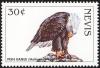 Colnect-3798-877-Fish-eagle.jpg