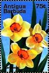 Colnect-4116-677-Narcissus.jpg