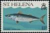 Colnect-4146-773-Mackerel.jpg