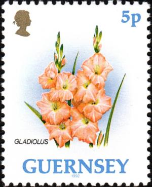 Colnect-5583-778-Gladioli.jpg