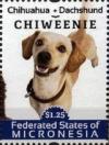 Colnect-5782-079-Chiweenie.jpg