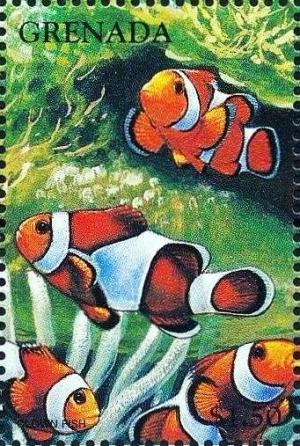 Colnect-4581-379-Clown-fish.jpg