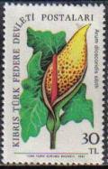 Colnect-1687-402-Arum.jpg