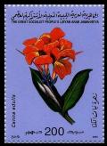 Colnect-2869-887-Canna-edulis.jpg