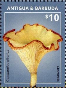 Colnect-3640-207-Chanterelle.jpg