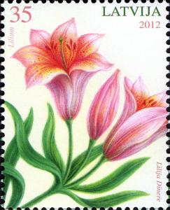 Colnect-5080-067-Lily-Lilium.jpg