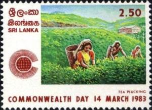 Colnect-1269-747-Tea-pickers.jpg