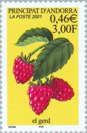 Colnect-142-277-Raspberries.jpg