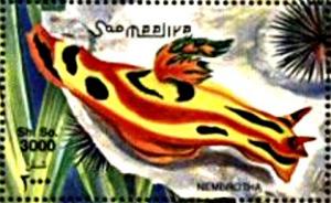 Colnect-5148-217-Nembrotha-sp.jpg