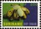 Colnect-2080-967-Dwarf-Banana.jpg