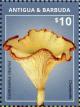 Colnect-3640-207-Chanterelle.jpg