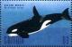 Colnect-4698-217-Killer-whale.jpg