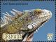 Colnect-5727-077-Green-Iguana.jpg