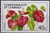 Colnect-4766-980-Anthurium.jpg