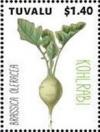 Colnect-6344-806-Kohlrabi.jpg