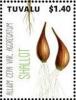 Colnect-6344-803-Shallot.jpg