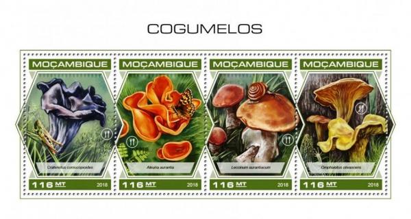 Colnect-5550-481-Mushrooms.jpg