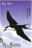 Colnect-3483-381-Sooty-tern.jpg