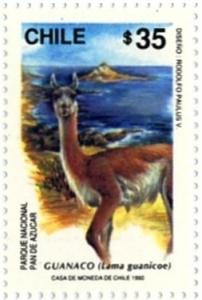 Colnect-2722-829-Guanaco.jpg