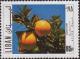 Colnect-1211-834-Oranges.jpg