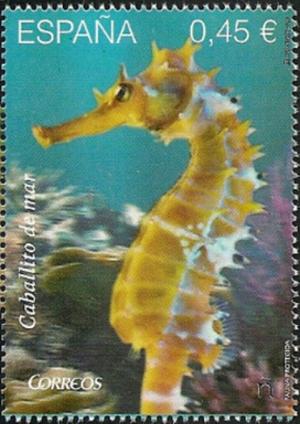 Colnect-3464-184-Sea-Horse.jpg