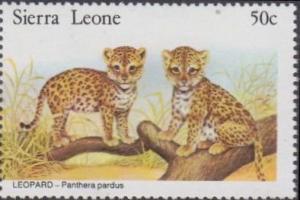 Colnect-3992-848-Leopards.jpg