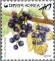 Colnect-2426-184-Amur-Grape.jpg