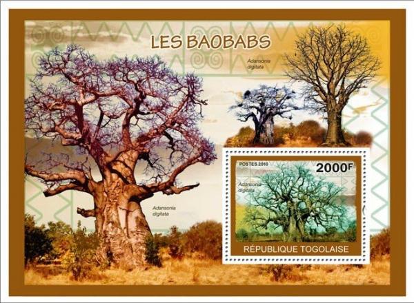 Colnect-6027-853-Baobabs.jpg