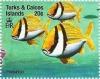 Colnect-5767-864-Porkfish.jpg