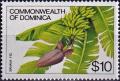 Colnect-4766-986-Banana-Fig.jpg