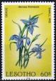 Colnect-3094-386-Small-iris.jpg