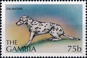 Colnect-4725-287-Dalmatian.jpg