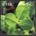 Colnect-1718-892-Shamrock.jpg