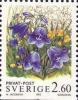 Colnect-436-489-Harebells.jpg