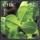 Colnect-1718-892-Shamrock.jpg